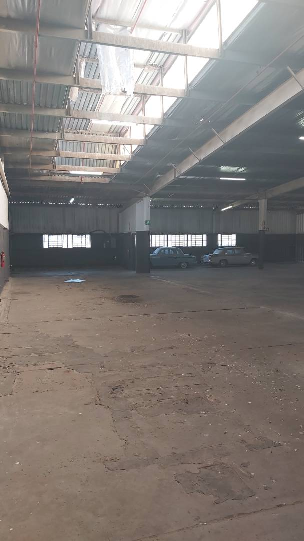To Let Commercial Property for Rent in Wilsonia Eastern Cape